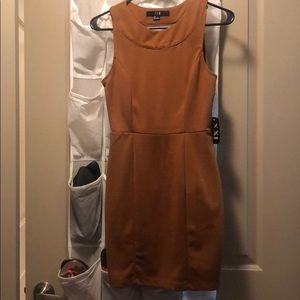 Forever 21 Rust Dress